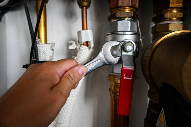 Best Emergency Plumbing Repair  in Palmyra, IN